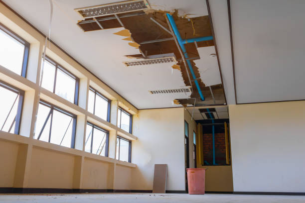 Best Flood damage cleanup  in Trinity, NC