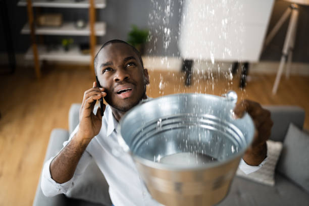 Best Flood restoration services  in Trinity, NC