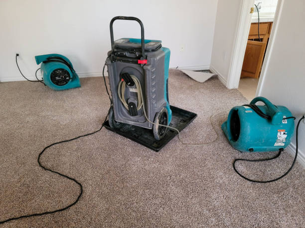Best 24/7 water damage repair  in Trinity, NC