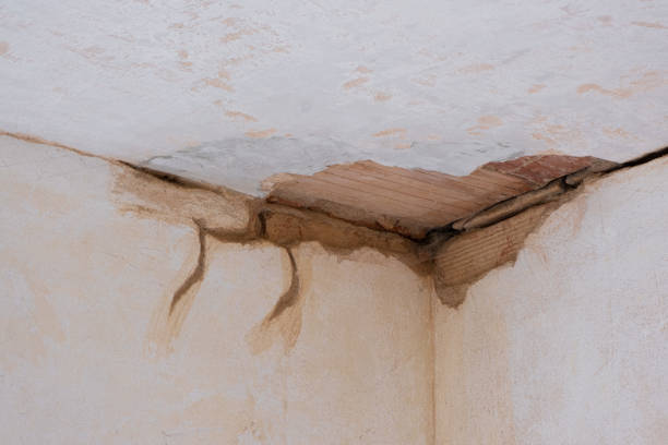Best Basement water damage restoration  in Trinity, NC