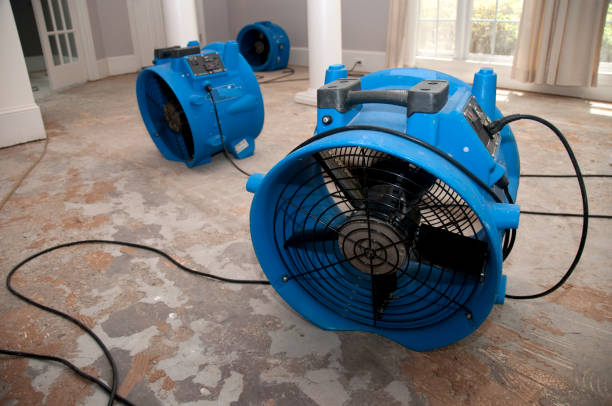 Best Water damage contractors near me  in Trinity, NC
