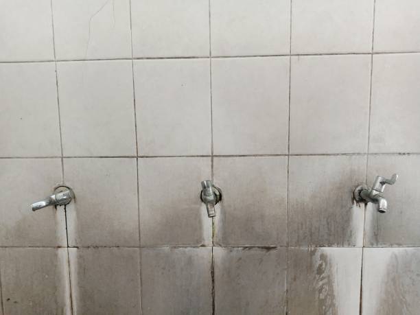Best Sewage cleanup and water damage restoration  in Trinity, NC