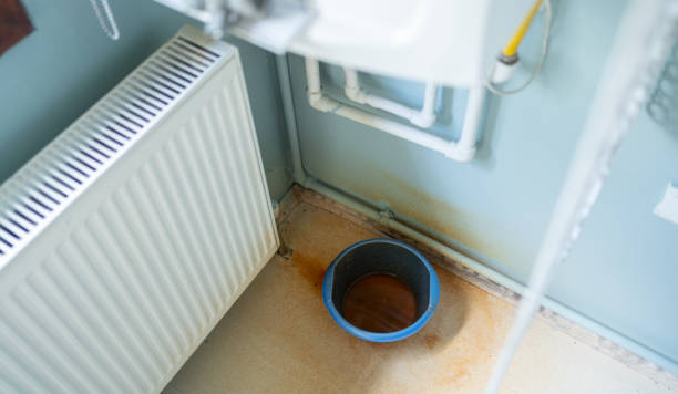 Best 24-hour water damage restoration  in Trinity, NC