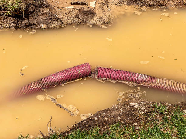 Best Water damage restoration process  in Trinity, NC