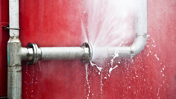 Best Sewage cleanup and water damage restoration  in Trinity, NC